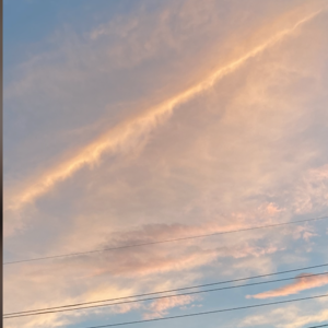 DCFF1178-8495-40EE-9227-992D916B3C96