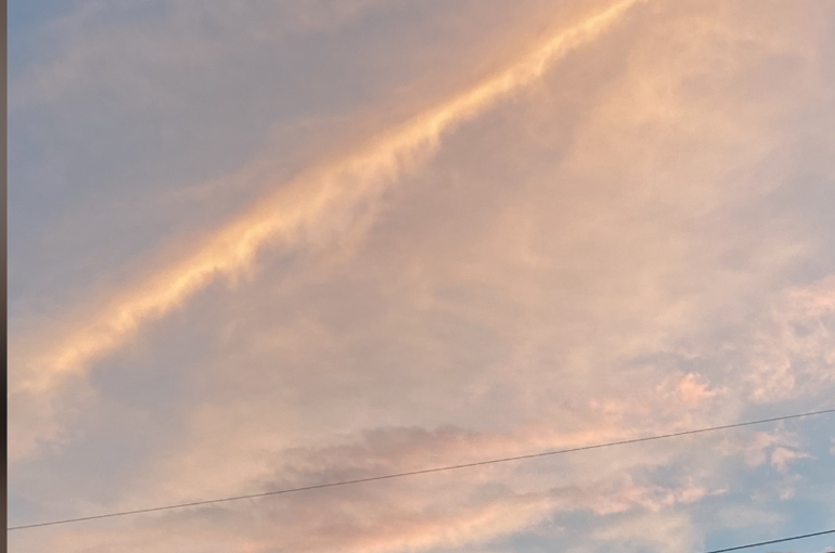 DCFF1178-8495-40EE-9227-992D916B3C96